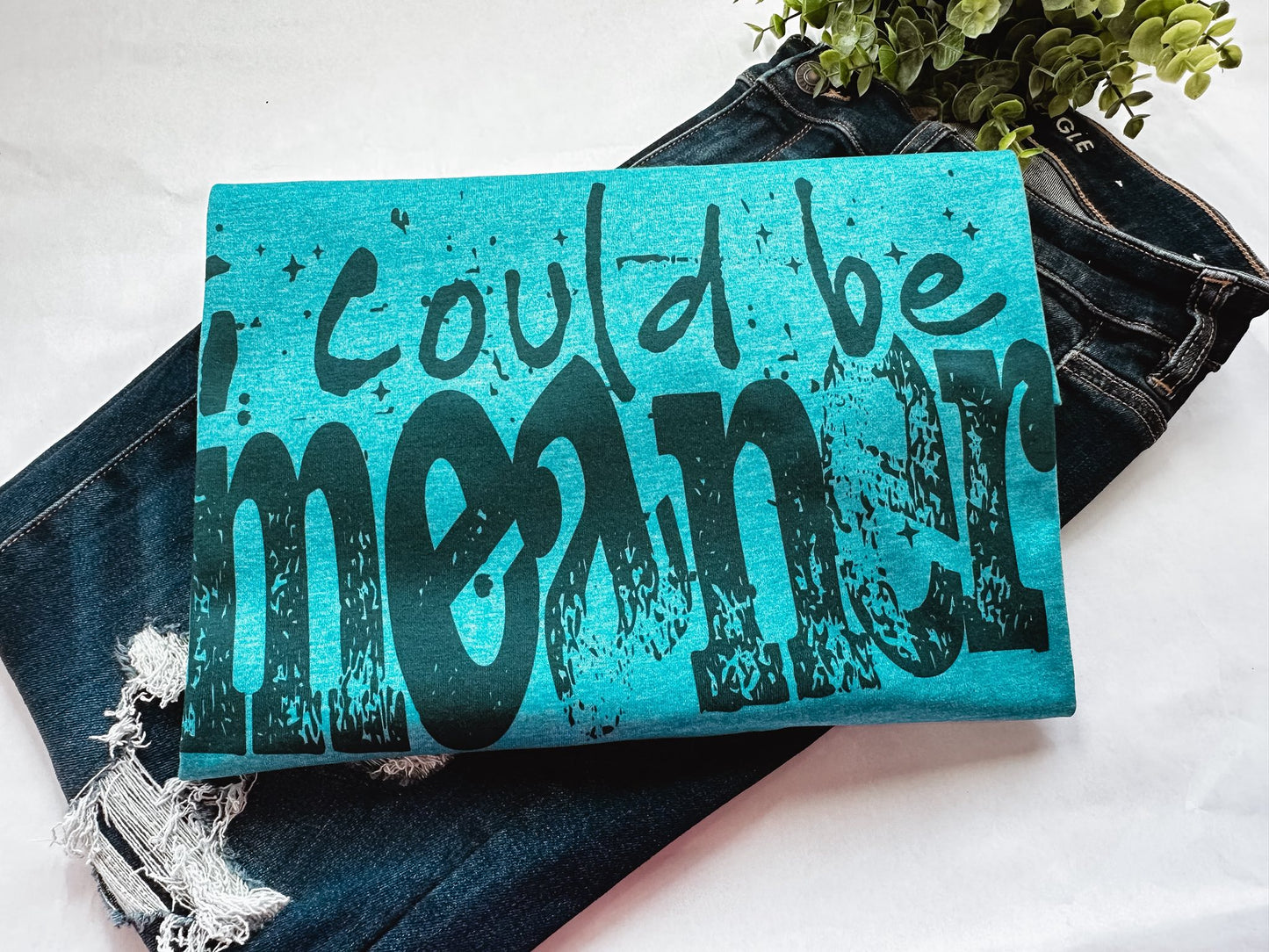 I Could Be Meaner Graphic Tee